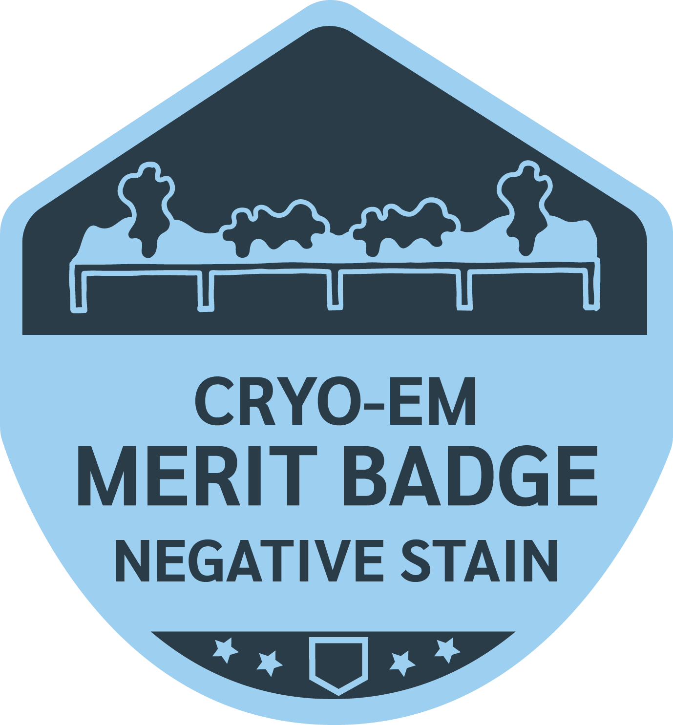 NegStain_opt4